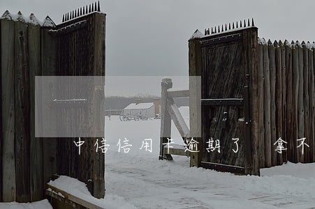 中信信用卡逾期了 拿不到钱 中信信用卡逾期了 拿不到钱